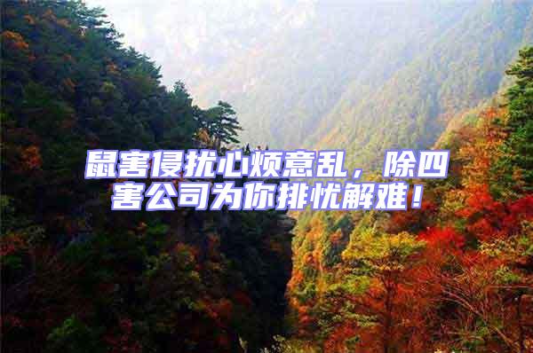 鼠害侵擾心煩意亂,除四害公司為你排憂解難!