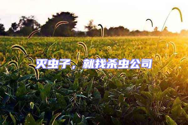 滅蟲子,就找殺蟲公司