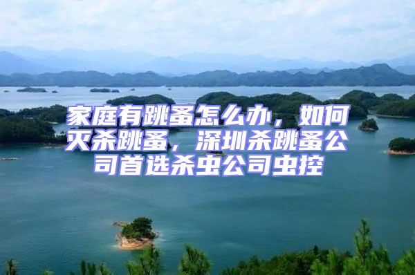 家庭有跳蚤怎么辦,如何滅殺跳蚤,深圳殺跳蚤公司首選殺蟲公司蟲控
