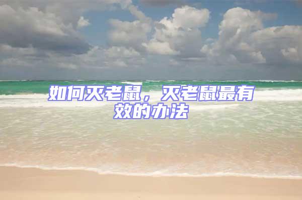 如何滅老鼠,滅老鼠最有效的辦法