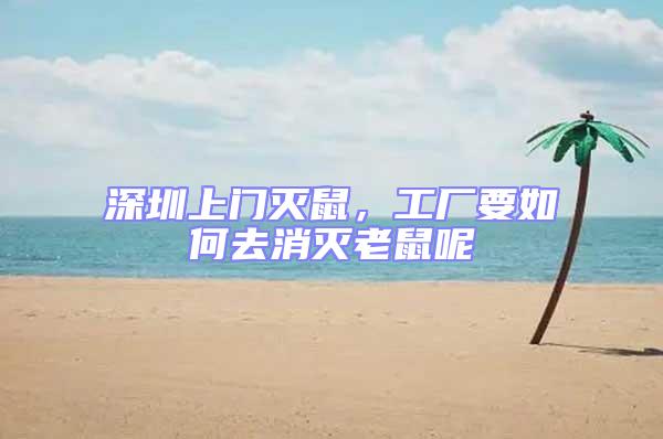 深圳上門滅鼠,工廠要如何去消滅老鼠呢
