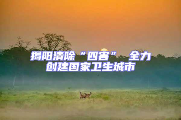 揭陽(yáng)清除“四害” 全力創(chuàng)建國(guó)家衛(wèi)生城市