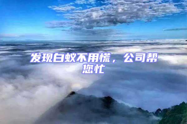 發現白蟻不用慌,公司幫您忙