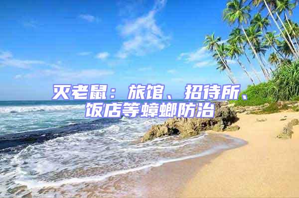 滅老鼠:旅館、招待所、飯店等蟑螂防治