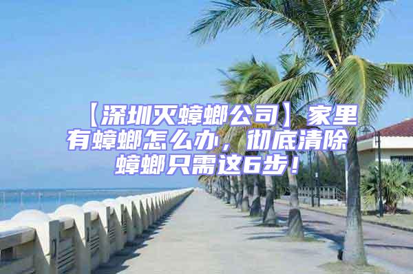 【深圳滅蟑螂公司】家里有蟑螂怎么辦,徹底清除蟑螂只需這6步!