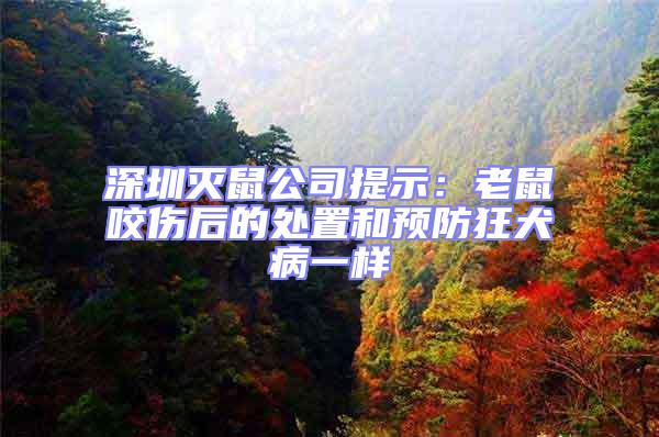 深圳滅鼠公司提示:老鼠咬傷后的處置和預防狂犬病一樣