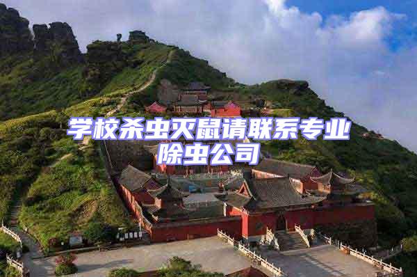 學校殺蟲滅鼠請聯(lián)系專業(yè)除蟲公司