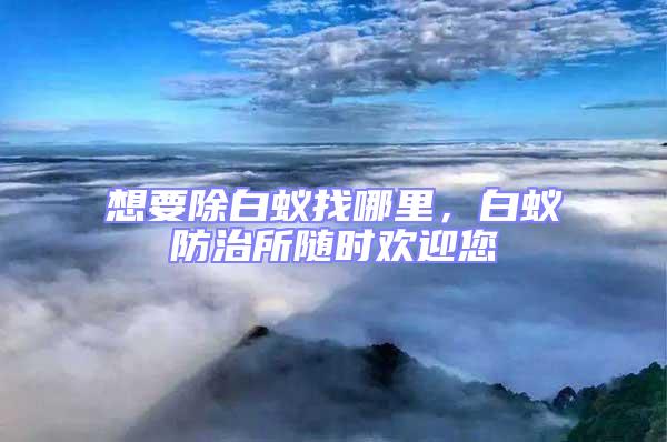 想要除白蟻找哪里，白蟻防治所隨時歡迎您