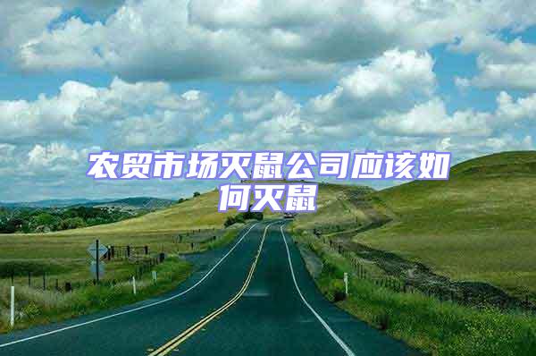 農貿市場滅鼠公司應該如何滅鼠