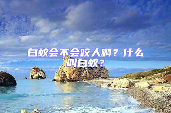 白蟻會(huì)不會(huì)咬人啊?什么叫白蟻?