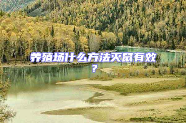 養殖場什么方法滅鼠有效?