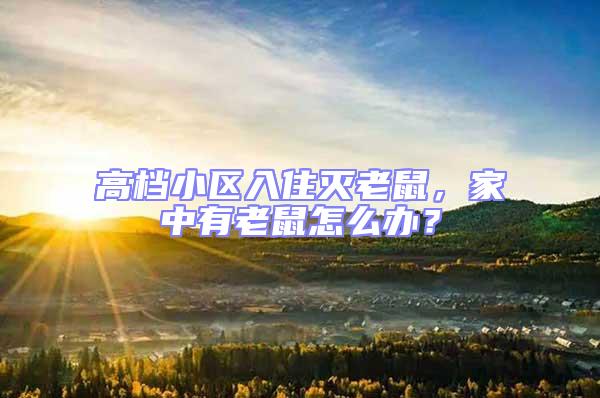 高檔小區入住滅老鼠,家中有老鼠怎么辦?