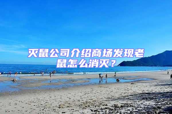 滅鼠公司介紹商場發現老鼠怎么消滅？