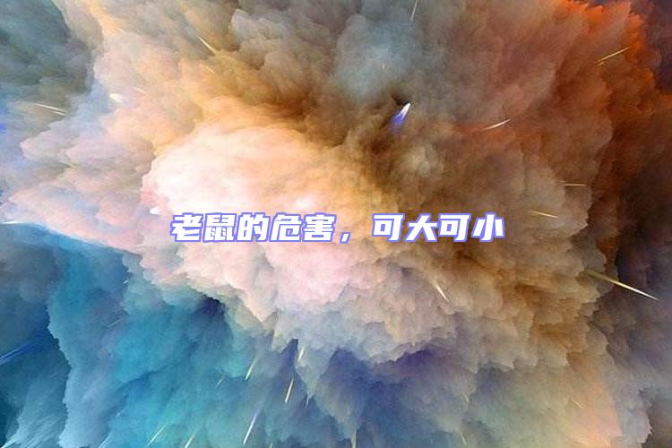 老鼠的危害,可大可小