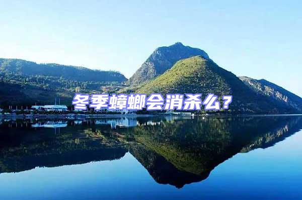 冬季蟑螂會消殺么?