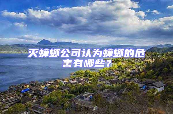 滅蟑螂公司認為蟑螂的危害有哪些?