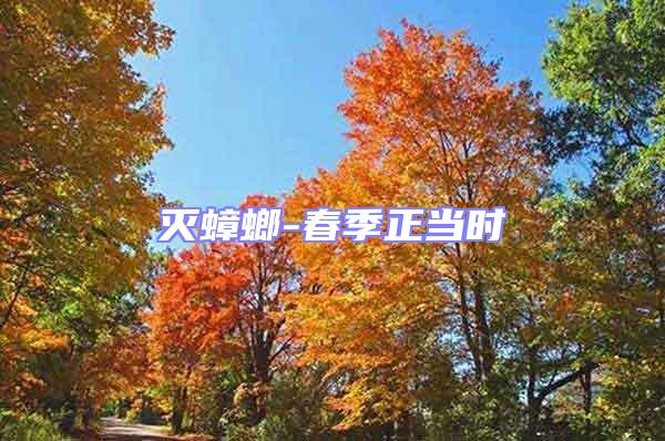 滅蟑螂-春季正當時