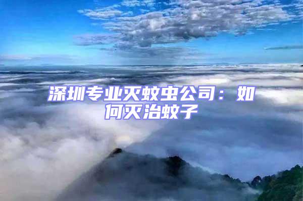 深圳專業滅蚊蟲公司:如何滅治蚊子