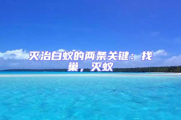 滅治白蟻的兩條關鍵:找巢,滅蟻