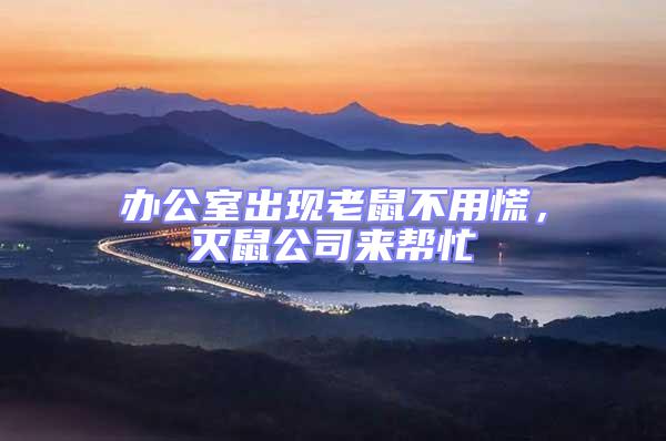 辦公室出現(xiàn)老鼠不用慌，滅鼠公司來幫忙