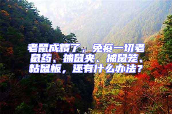 老鼠成精了，免疫一切老鼠藥、捕鼠夾、捕鼠籠、粘鼠板，還有什么辦法？