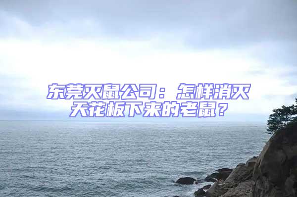 東莞滅鼠公司：怎樣消滅天花板下來的老鼠？