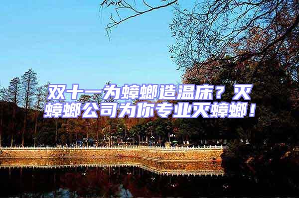 雙十一為蟑螂造溫床?滅蟑螂公司為你專業滅蟑螂!