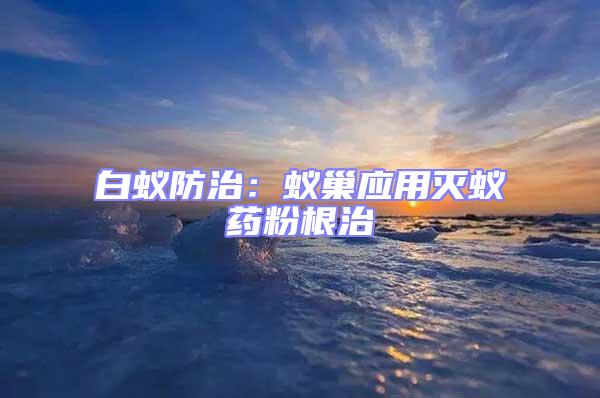 白蟻防治:蟻巢應用滅蟻藥粉根治