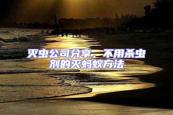 滅蟲公司分享,不用殺蟲劑的滅螞蟻方法