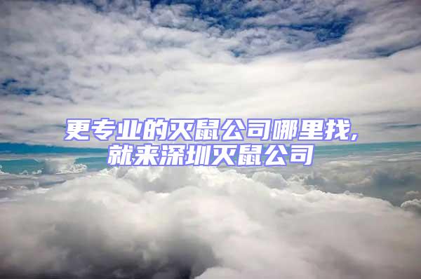 更專業(yè)的滅鼠公司哪里找,就來(lái)深圳滅鼠公司