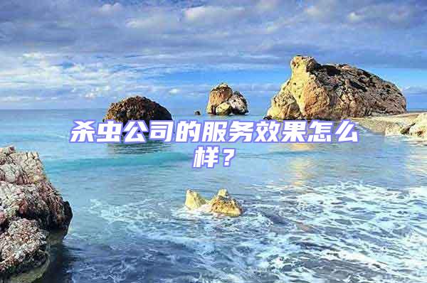 殺蟲公司的服務效果怎么樣?