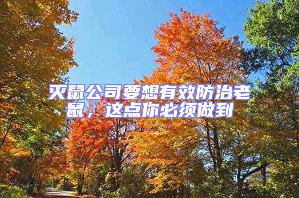 滅鼠公司要想有效防治老鼠,這點你必須做到