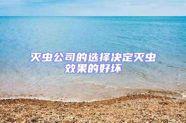 滅蟲(chóng)公司的選擇決定滅蟲(chóng)效果的好壞