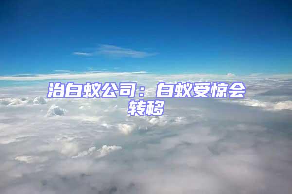 治白蟻公司:白蟻受驚會(huì)轉(zhuǎn)移