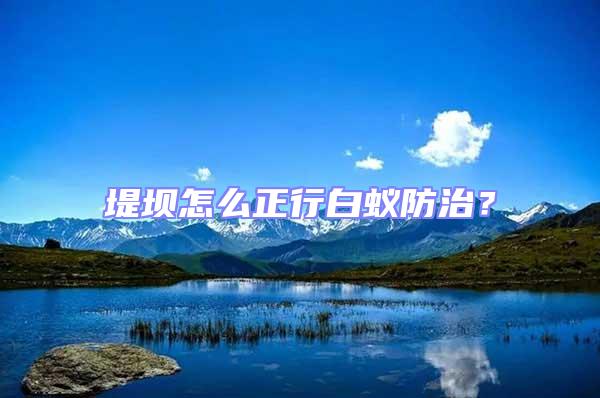 堤壩怎么正行白蟻防治?
