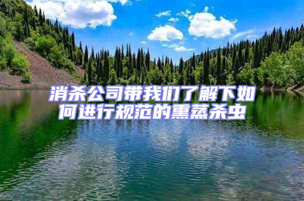 消殺公司帶我們了解下如何進(jìn)行規(guī)范的熏蒸殺蟲