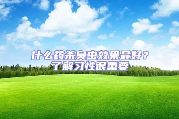 什么藥殺臭蟲效果最好?了解習性很重要