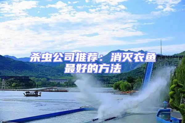 殺蟲公司推薦:消滅衣魚最好的方法