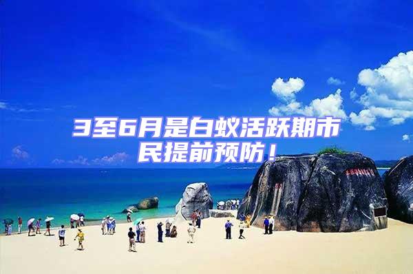 3至6月是白蟻活躍期市民提前預防!