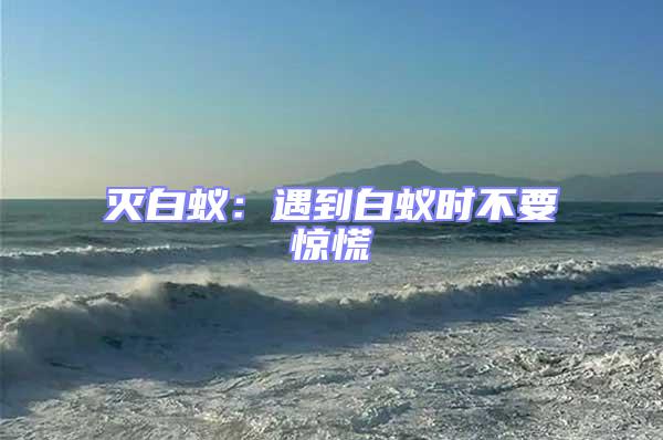 滅白蟻:遇到白蟻時不要驚慌