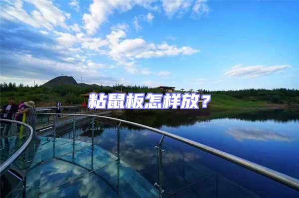 粘鼠板怎樣放？