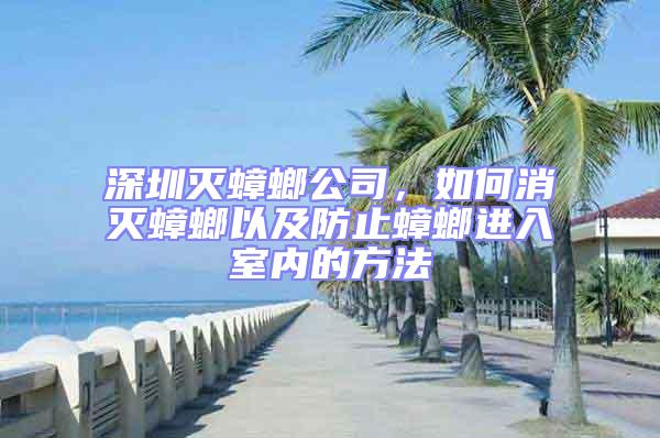 深圳滅蟑螂公司,如何消滅蟑螂以及防止蟑螂進入室內的方法