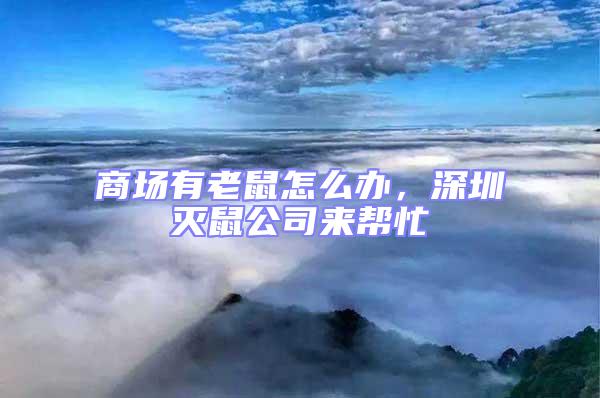 商場有老鼠怎么辦，深圳滅鼠公司來幫忙