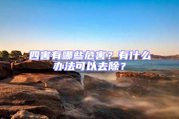 四害有哪些危害?有什么辦法可以去除?