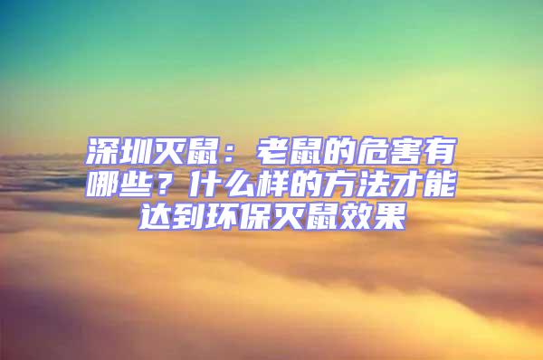 深圳滅鼠：老鼠的危害有哪些？什么樣的方法才能達到環保滅鼠效果
