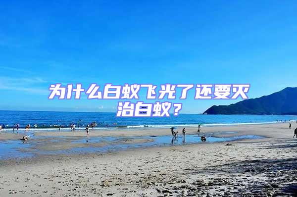 為什么白蟻飛光了還要滅治白蟻?