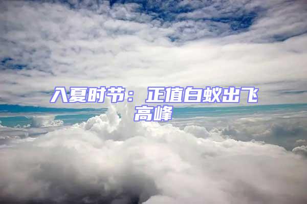 入夏時節(jié):正值白蟻出飛高峰