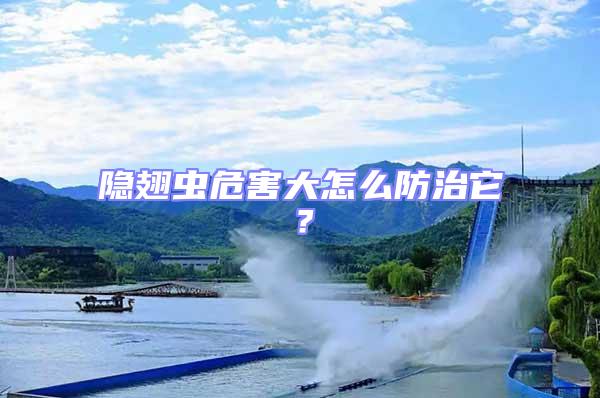 隱翅蟲危害大怎么防治它?