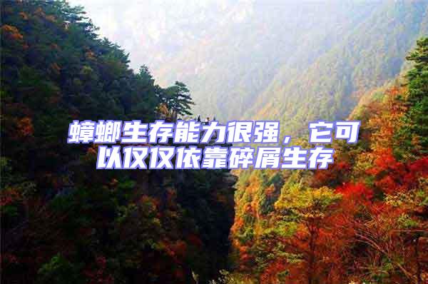 蟑螂生存能力很強(qiáng),它可以僅僅依靠碎屑生存