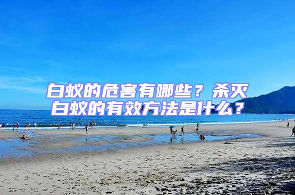 白蟻的危害有哪些?殺滅白蟻的有效方法是什么?